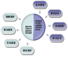 泰尔弗职业规划体系