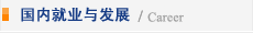 上海应用技术大学中外合作泰尔弗学生国内就业与发展